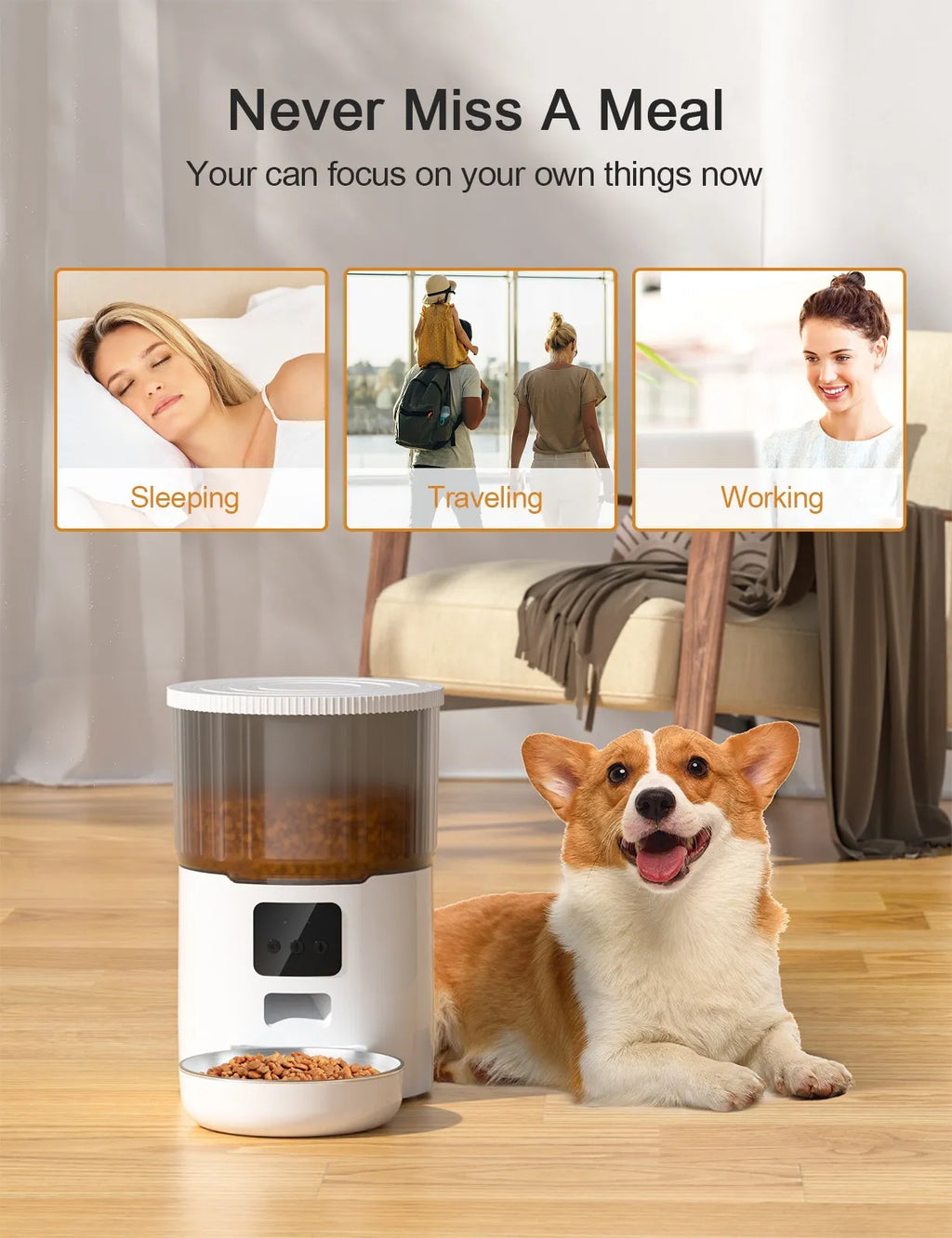 Dispensador automático de comida para mascotas