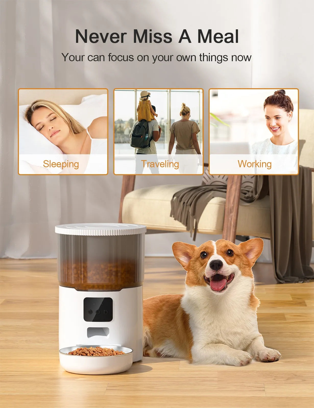 Dispensador automático de comida para mascotas