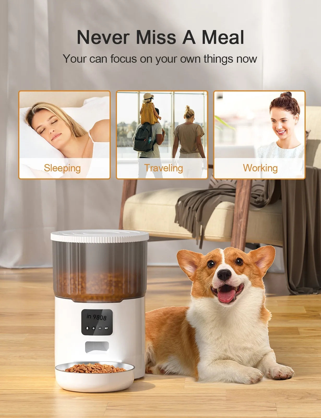 Dispensador automático de comida para mascotas
